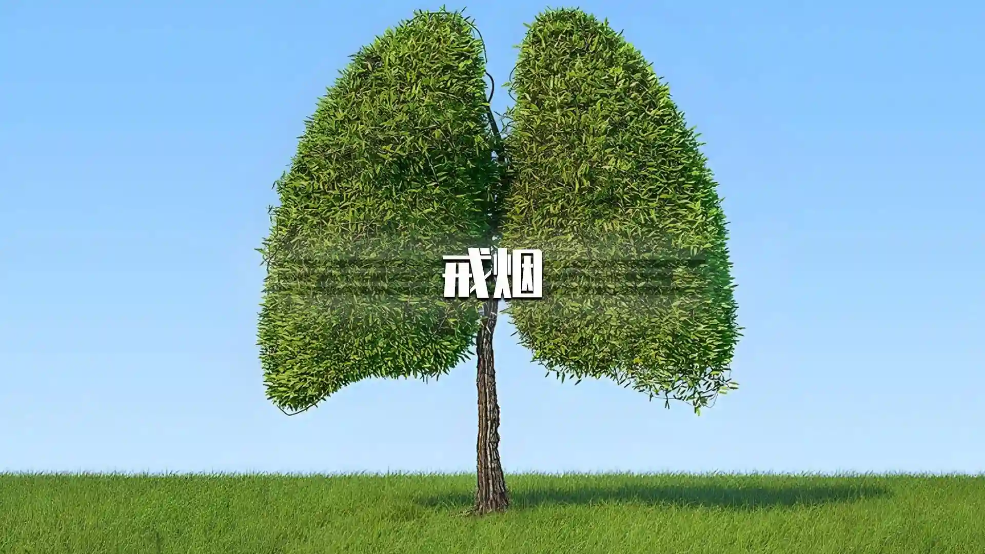 u=579366146,538560956&fm=225&app=113&f=JPEG.webp